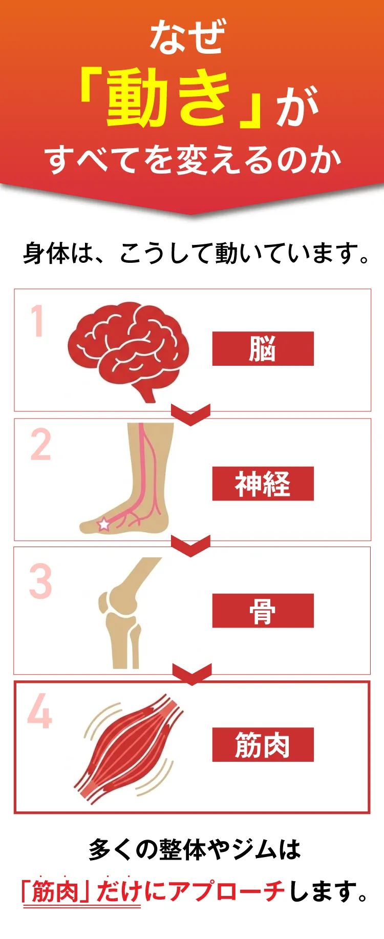 なぜ「動き」がすべてを変えるのか - 脳・神経・骨・筋肉