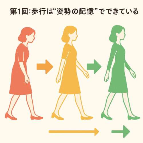 40〜50代女性の歩行姿勢を、赤・黄・緑の3段階で示したイラスト。赤は猫背で不安定な歩き方、黄は改善途中、緑は背筋が伸びた美しい歩行を表現している。