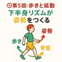 「歩行動作における下半身リズムが姿勢へ影響する様子を、赤・緑・黄色の延動カラーで示したイラスト。歩く人の下半身から骨盤、上半身へ矢印が連動し“姿勢をつくる”流れを表現している。」