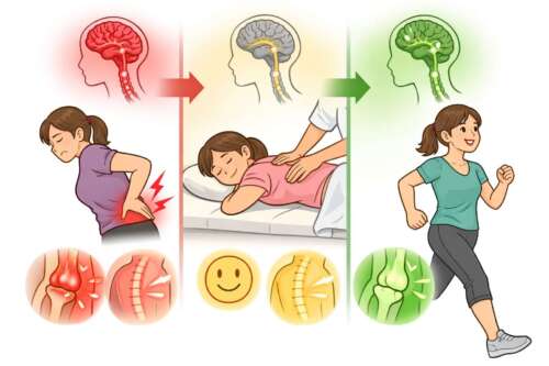 赤：痛みを感じる身体と乱れた神経回路黄：マッサージで一時的に楽になる状態 緑：神経回路が整い、自然に動ける身体のイメージ