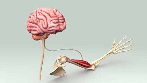 マッサージによる一時的な改善と、神経回路を整えることで再発しない身体になる違いを示したイラスト