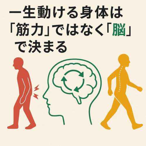 一生動ける身体は筋力ではなく脳で決まることを示したイラスト。赤は痛みや不調のある姿勢、緑は脳と神経の再学習、黄色は正しい姿勢と歩行を象徴している。