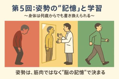 姿勢の誤った記憶(赤)から、学習途中(黄)を経て、正しい姿勢が定着した状態(緑)へと変化していく様子を表した延動文化のイラスト。