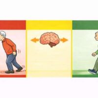 赤・黄・緑の3分割イラスト。左は前かがみで腰から動く不安定な歩行、中央は脳のイメージ、右は姿勢が整い足が上がる安定した歩行を示している。