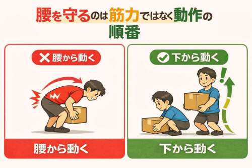 腰痛を防ぐ動作の違いを示したイラスト。左は赤色で「腰から動く」誤った持ち上げ方、右は緑色で「下から動く」正しい動作の順番を対比している。