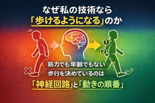 神経回路と動きの順番を学び直すことで、筋力や年齢に関係なく歩行が安定することを示したイラスト