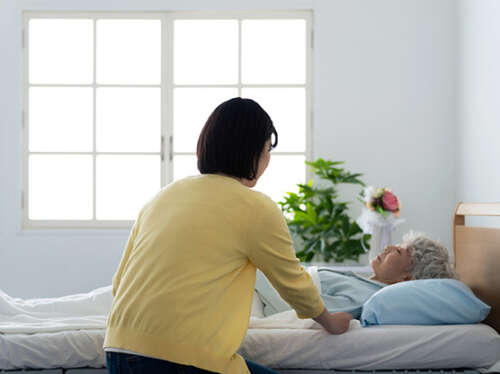 ベッドで横になる高齢者を、介護者が寄り添ってサポートしている様子。明るい窓と植物のある静かな室内。