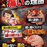 動くだけで痛みが出る理由を解説した図。脳の過敏な反応（アラーム）により、軽い動きでも危険と判断され、痛みが続く状態を表現している。