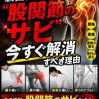股関節のイラストが強調され、「一生歩けなくなる!?」「股関節のサビ」と大きく表示された健康啓発画像。腰痛・膝痛・姿勢悪化・歩行低下の写真も並び、原因が股関節にあることを示している。