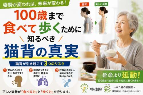 高齢女性が笑顔で食事をしている横に、猫背と良い姿勢の比較イラストを配置。「100歳まで食べて歩くために知るべき猫背の真実」というタイトルと、猫背による飲み込み・誤嚥・呼吸へのリスクを解説した健康啓発画像。