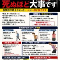 股関節の重要性を解説した予防啓発ポスター。「股関節、死ぬほど大事です」という大きな文字と骨盤イラストを中心に、歩幅低下・腰膝負担・転倒リスクなどを説明している。