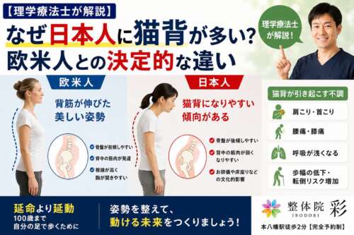 理学療法士が日本人に猫背が多い理由を解説する画像。欧米人と日本人の姿勢を比較し、骨盤の傾きや筋肉量の違い、猫背による肩こり・腰痛・転倒リスクについてわかりやすく紹介している。