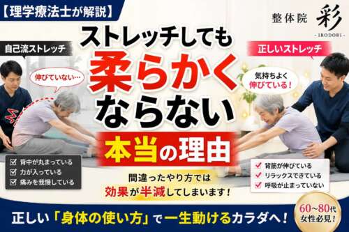 理学療法士が高齢女性のストレッチを指導している比較画像。自己流ストレッチと正しいストレッチの違いを示し、「ストレッチしても柔らかくならない本当の理由」というタイトルが大きく表示されている。