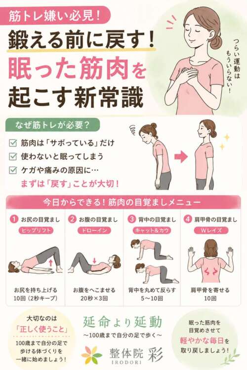 筋トレが苦手な人向けに、眠った筋肉を目覚めさせる方法を解説したイラスト。ヒップリフト、ドローイン、キャット＆カウ、Wレイズの4つの運動と「鍛える前に戻す」という考え方を紹介している。