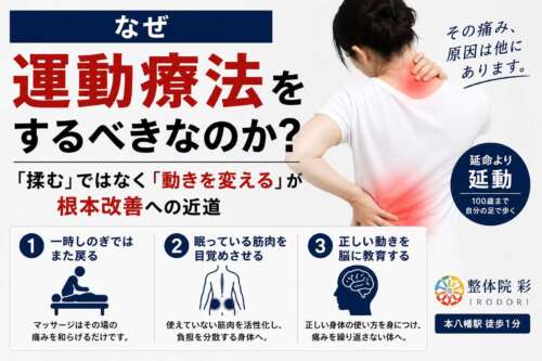 運動療法が根本改善につながる理由を3つに分けて解説したインフォグラフィック。マッサージとの違い、眠っている筋肉の活性化、正しい身体の使い方の再教育を紹介し、100歳まで歩ける身体づくりを目指す内容。