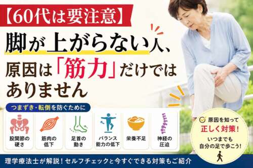 60代は要注意。脚が上がらない原因は筋力だけではなく、股関節の硬さや足首、バランス、栄養、神経なども関係することを解説する画像。