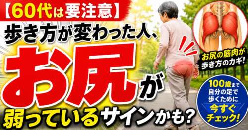 【60代は要注意】歩き方が変わった人はお尻の筋力低下のサインかも？臀筋と歩行の関係を伝える整体院彩の画像。
