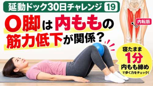 【延動ドック30日チャレンジ⑲】O脚と内ももの筋力低下の関係を解説。女性が仰向けで両膝を曲げ、膝の間に青いボールを挟む「内もも締めエクササイズ」の画像。内転筋の解剖図も掲載。寝たまま1分でできる運動を整体院 彩の理学療法士が紹介。