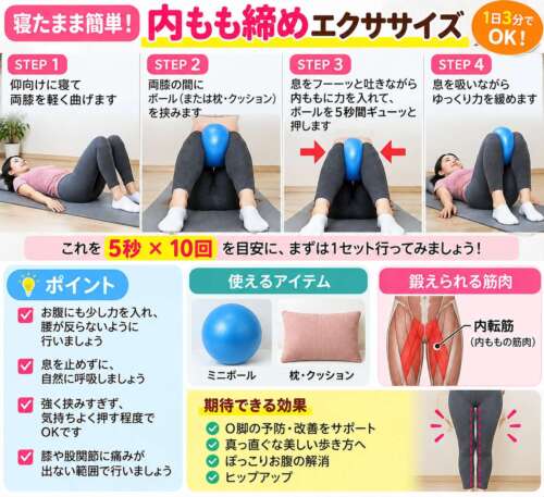 【延動ドック30日チャレンジ⑲】寝たままできる内もも締めエクササイズ。仰向けで両膝を曲げ、膝の間にボールを挟んで5秒間押す運動を写真付きで解説。内転筋の働きを高め、股関節の安定性や歩行機能の維持を目指す。整体院 彩・理学療法士が紹介。