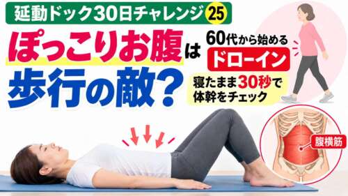 【延動ドック30日チャレンジ㉕】ぽっこりお腹は歩行の敵?60代から始めるドローイン。女性が仰向けで膝を立て、お腹をへこませる体幹エクササイズを実践。腹横筋のイラストとともに、寝たまま30秒でできる運動を整体院 彩が紹介。