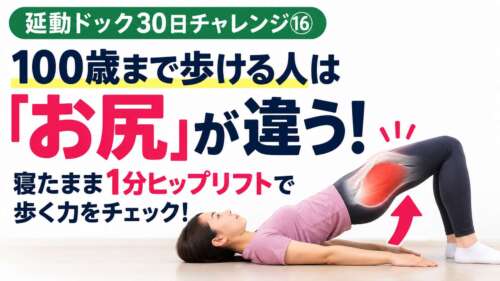 【延動ドック30日チャレンジ⑯】100歳まで歩ける人は「お尻」が違う！仰向けで膝を立て、お尻を持ち上げるヒップリフトの実践画像。大臀筋を赤く強調し、寝たまま1分でできるお尻の筋力トレーニングを紹介。整体院 彩・理学療法士が解説。