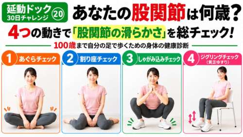 【延動ドック30日チャレンジ⑳】あなたの股関節は何歳？あぐら・割り座・しゃがみ込み・ジグリングの4つの動きで股関節の柔軟性や滑らかさをセルフチェック。整体院 彩の理学療法士が解説。