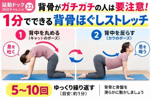 【延動ドック30日チャレンジ㉒】背骨がガチガチの人は要注意！四つん這いで行う「キャット＆カウ」で背骨を丸めたり反らしたりする運動を紹介。整体院 彩の理学療法士が身体の柔軟性と動きをチェック。