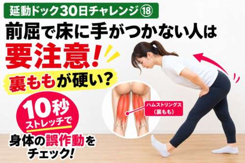 【延動ドック30日チャレンジ⑱】前屈で床に手がつかない人は要注意！裏もも（ハムストリングス）の硬さをチェック。女性が片足を前に出し、股関節から身体を倒す10秒ストレッチの実践画像。裏ももの筋肉を赤く示した解剖イラスト付き。整体院 彩が紹介。